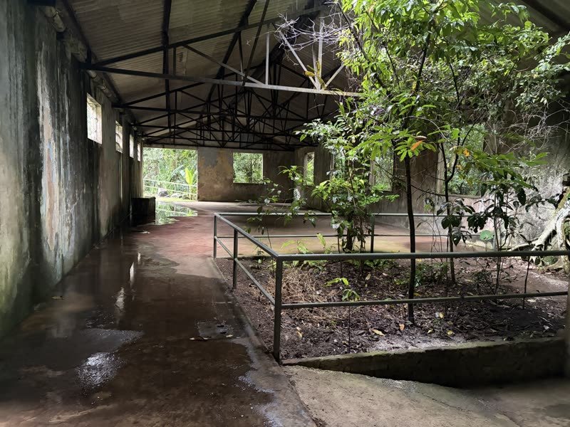 Corredor coberto ao lado de vegetação, com guarda-corpo de ferro